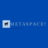 MetaSpace Consult Ltd logo - Similar company to Softgem Global Technologies
