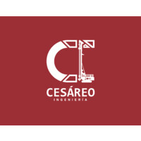 CESÁREO INGENIERÍA logo - Similar company to Amopsi S.A. De C.V.