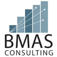 BMAS Consulting logo - Similar company to Kingdom Group