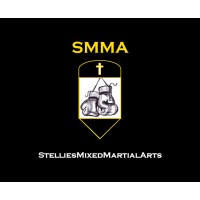 Stellies Mixed Martial Arts logo - Similar company to Smart Ring