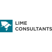 Lime Consultants India Pvt Ltd logo - Similar company to Ainuverse