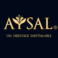 AYSAL PARIS logo - Similar company to Armada - Médecin De Vos Bâtiments