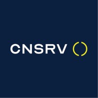 CNSRV INC logo - Similar company to Lulupoo