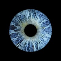 RealtimeX inc logo - Similar company to Macrolabs