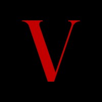 Vida Strategies logo - Similar company to Vida Hr & Career Consulting