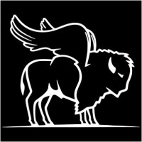 Bison Aviation, Llc