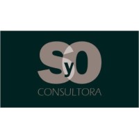 SyO Consultora logo - Similar company to Red De Servicios Srl
