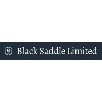 Black Saddle Limited logo - Similar company to Petropal Llc