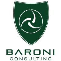 Baroni Consulting srl logo - Similar company to Seibaedisa Srl