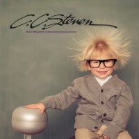C. C. Steven & Associates Inc
