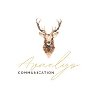 Avaelys Communication logo - Similar company to 2Y Digitalco