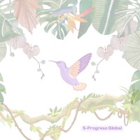 SProgreso Global logo - Similar company to Aliad