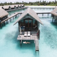 This Island Life