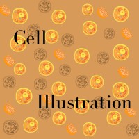 From the cell to the Illustration logo - Similar company to Pocusx