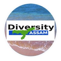 Diversity Assam logo - Similar company to Guidepe