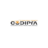 Co.Di.Pr.A. - Condifesa Trento logo - Similar company to Greenplan Engineering Srl