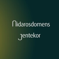 Nidarosdomens jentekor logo - Similar company to Trondheim Symfoniorkester & Opera (Tso)