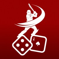 NotOut11: Cricket Fantasy App logo - Similar company to Plambindia Software Solution