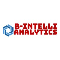 B-Intelli Analytics Solutions Inc logo - Similar company to Tempo Analytics