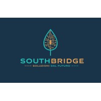 SouthBridge logo - Similar company to Innova Pmi