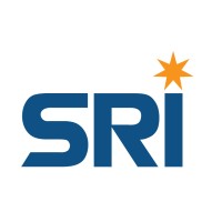 SRI Consulting Vietnam logo - Similar company to Someto