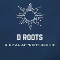 Digital Roots Intl logo - Similar company to Itus Protect