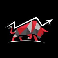 The Bull's Gazette logo - Similar company to Wisekids