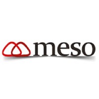 Meso Telecom & Systems logo - Similar company to .976 Studio