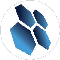 Salik & Co logo - Similar company to Chef Online