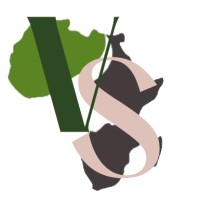 VALUE STRUCTURE logo - Similar company to Structure Value
