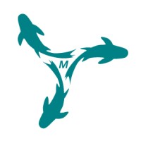 Monsoon Maritime Services logo - Similar company to Viet-Ando Maritime (Opc) Pvt. Ltd.