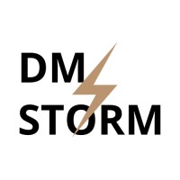 Digital Marketing Storm logo - Similar company to Digital Lamas