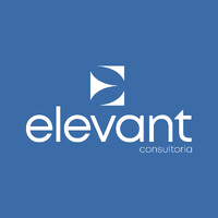 Elevant Consultoria Empresarial logo - Similar company to Getgap