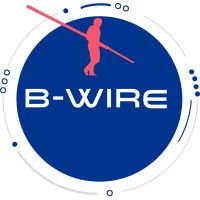 B-Wire logo - Similar company to Layer Technologies Llc