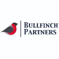 Bullfinch Partners logo - Similar company to Lumina Consulting
