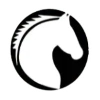 Strategyworks Consulting LLP logo - Similar company to Strategyworks