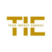 TIE (Tech, Impact & Energy) Advisory & Roundtables logo - Similar company to Ebp Ventures