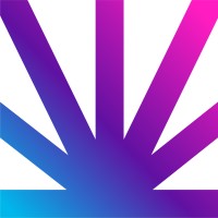Vice ADAS logo - Similar company to Adas Solutions Usa