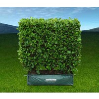 Twining Valley Nurseries