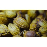 Ethical Cocoa logo - Similar company to Pathfound