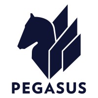 Pegasus Consulting LLC logo - Similar company to Emily Ai