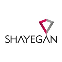 shayegan dade electric pouyesh logo - Similar company to Labour Crown