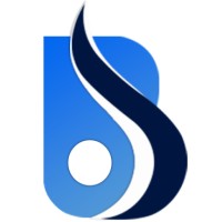 Baniwal Infotech Pvt. Ltd. logo - Similar company to Appvin Technologies
