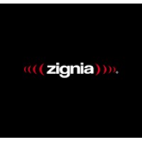 Zignia logo - Similar company to Apodaca Group