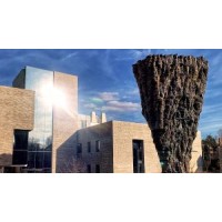 Behavioral Science For Policy Lab