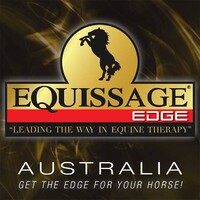 Equissage Therapy logo - Similar company to Studio Lifewave