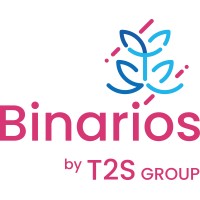 BINARIOS-IT logo - Similar company to T2S Group