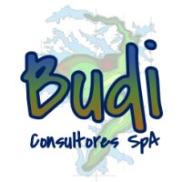 Budi Consultores SpA logo - Similar company to Innglobal