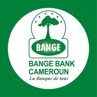 BANGE BANK CAMEROUN logo - Similar company to Banque Internationale Du Cameroun Pour L’Epargne Et Le Credit (Bicec)