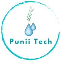 Punii Tech